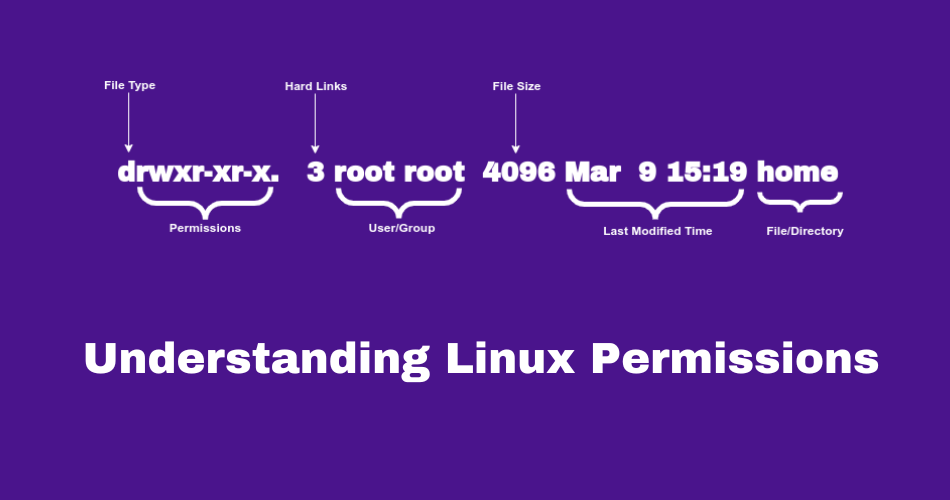 Understanding Linux Permissions